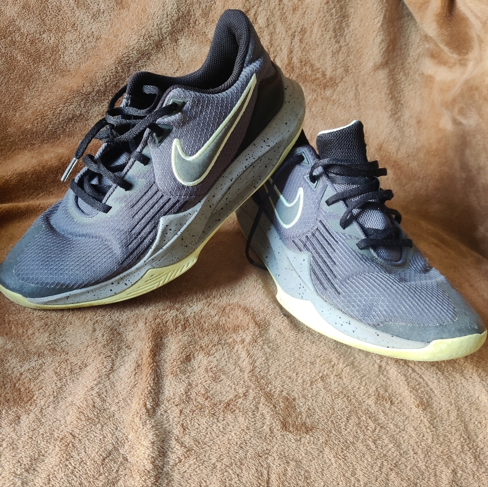 NIKE — Precision 5